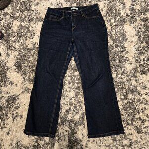 Cleo Petites Women’s Mid-Rise Straight Leg Jeans | Size 12 | Dark Wash